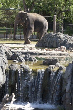 Denver Zoo